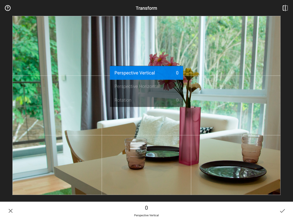 Review-Snapseed-Transform-Perspective-02