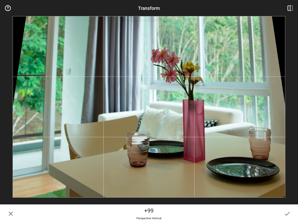 Review-Snapseed-Transform-Perspective-03