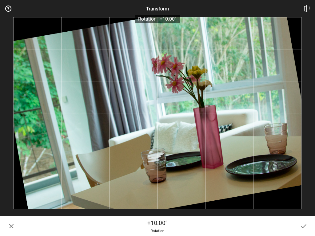 Review-Snapseed-Transform-Perspective-05