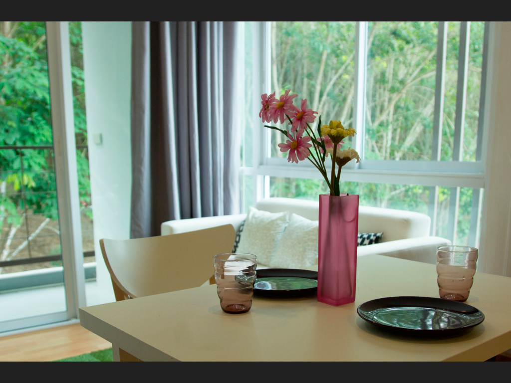 Review-Snapseed-Transform-Perspective-06