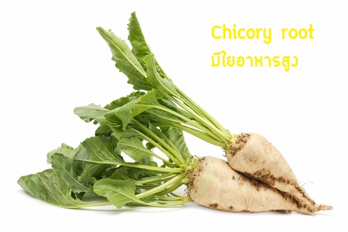 ฟลุกโตว์ฟาส ธัญพืชอบมีพรีไบโอติกส์ Probiotic probiotic แก้ปัญหาท้องผูก ลดคอเรสเตอรอลและน้ำตาล